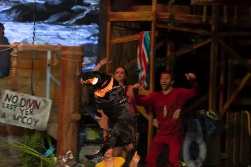 diving dog at Hatfields and McCoy