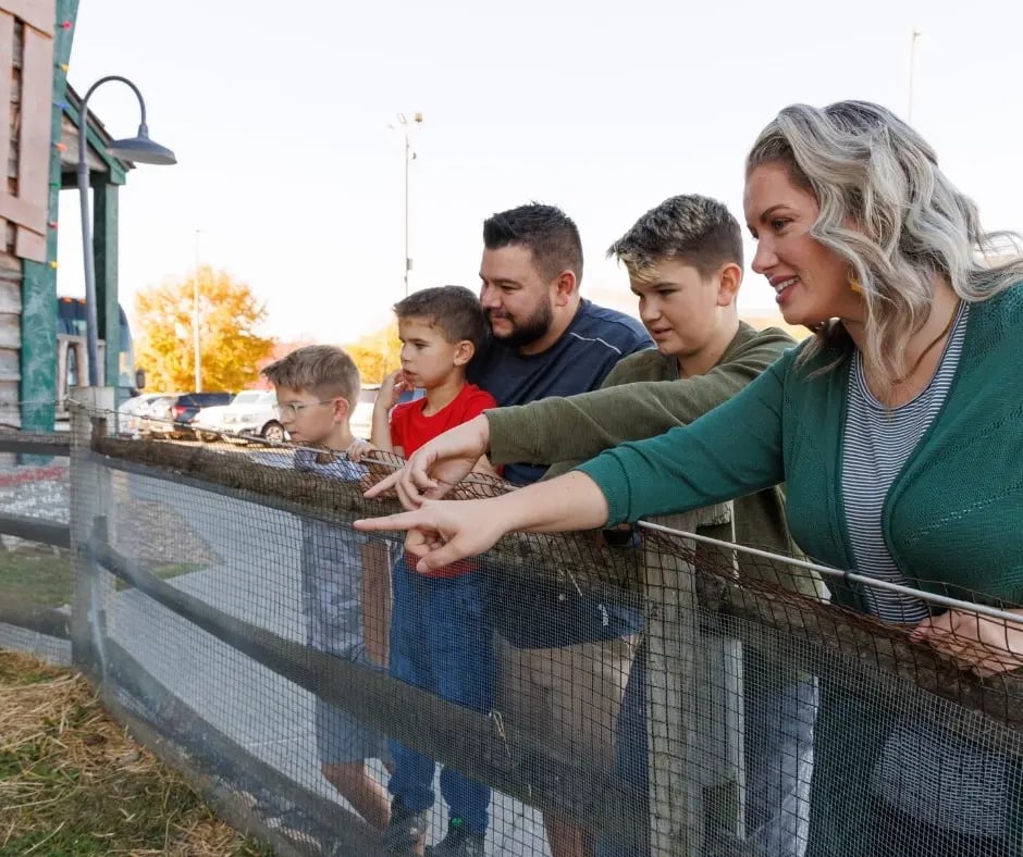 barnyard animals pigeon forge